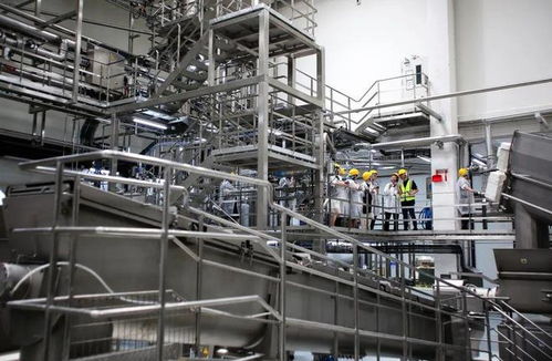 寵物市場“內卷”加劇，這家天津軟件企業亮相亞寵展的破局之道